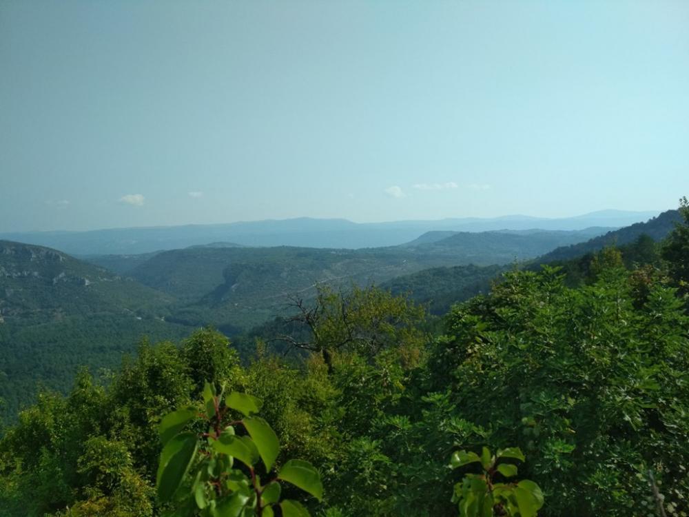 Fantasztikus telek eladó Motovun körzetben, lenyűgöző kilátással Isztriára 