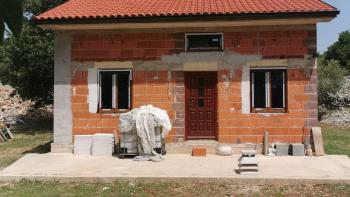 Olive grove on Krk with a farm building 