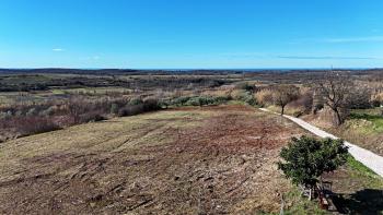 Building plot with panoramic view of the sea in Buje, for sale 