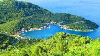 Unique waterfront building land on Mljet island - 50 shades of green colour 