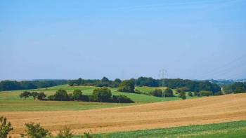 Large agricultural land in Krnica, Marčana, 58.811m2 