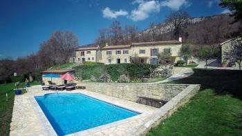 Complex of three renovated villas with swimming pool in Lupoglav area on 8000 sq.m. of land 