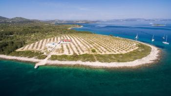 One and only isolated island villa with olive grove of 47500 sq.m. of land, mooring and absolute privacy 