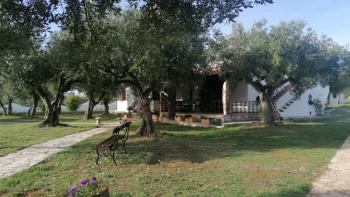 A unique rustic villa with a view of the Brijuni Islands in Galizana! 