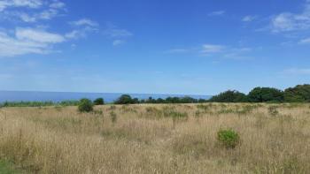 Land for sale of T2 purpose in Savudrija, Umag, 11.677m2 just 200m from the sea! 