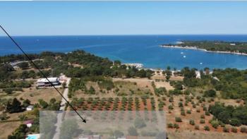 Three similar luxury villas in Porec area only 250 meters from the sea, 1st construction line to the sea 