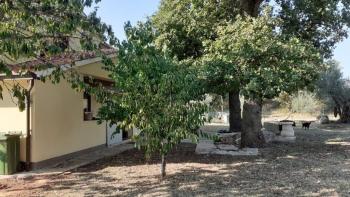 House in Bužinija, Novigrad area 