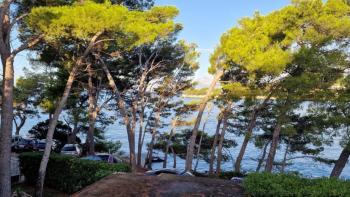 Terrain super attrayant sur l&#39;île de Brac à seulement 50 mètres de la mer 