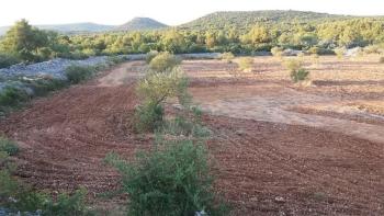 Terrain agricole de plus de 1,5 hectares dans la région de Vodice, grand potentiel 