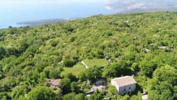 Fascinating agro land in Bartići, Labin, over 1 hectare of land 