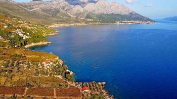 Combination of building and agro land on Peljesac- 1st line to the sea 