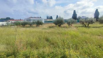 Unique urban land for sale in Fažana, 50m from the beach 