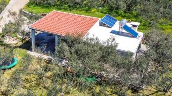 Detached house in Starigrad area on Hvar island with an olive field  