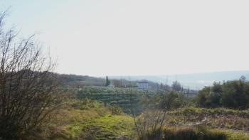 Terrain urbain avec vue sur la mer à Buje 