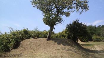 Terrain de plus de 1 hectare en surface à Novaki Motovunski, Karojba 