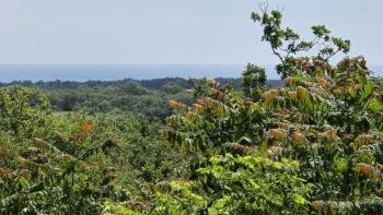 Städtisches Grundstück zum Verkauf in Buje, für 3 Luxusvillen, mit herrlichem Meerblick 