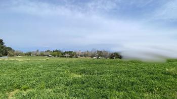 Land Crveni Vrh-ben, Umagban, 100 méterre a tengertől 