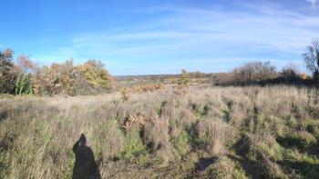 Terrain spacieux d'environ 1 hectare dans la région de Marcana, à vendre 