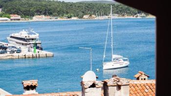 Propriété superbement décorée au cœur de Rovinj avec terrasse sur le toit, vue, jacuzzi 