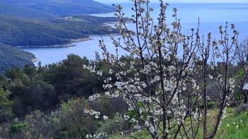 Egyedülálló építési telek panorámás tengerre néző Rabacon, eladó 