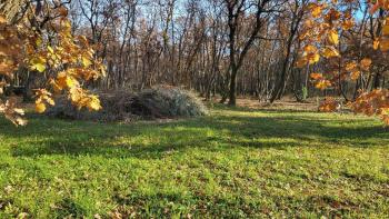 Terrain urbain et agricole à Valica, Umag 