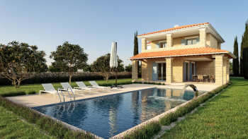 Villa with pool in Vižinada, Porec 