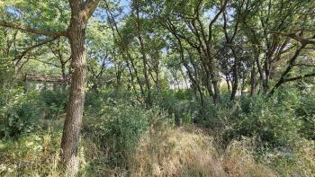 Land plot in Valbandon, Fažana, 1 km from the sea 