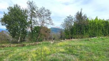 Terrain constructible + agricole à Motovun, à vendre 