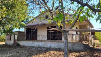 House on a large terrain in Poreč, Baderna, for sale 