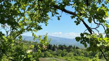 Grand terrain agricole dans la région de Sibenik, Drnis, à vendre 