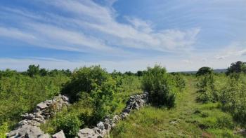 ADRIONIKA propose un terrain dans la région de Labin à seulement 1,5 km de la mer 