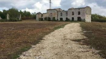 Fantastic investment land in the meadows of inner Istria - on 1 hectare of land 