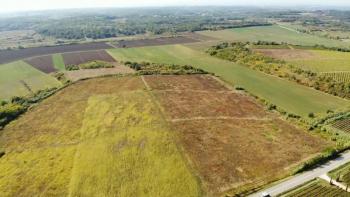 Na sprzedaż przestronna działka rolna w okolicy Buje o powierzchni 83.917m2 