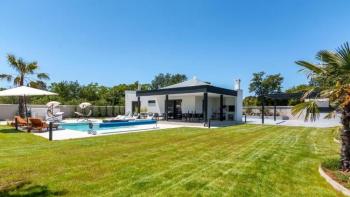 Modern villa with swimming pool in Sisan-Liznjan area 