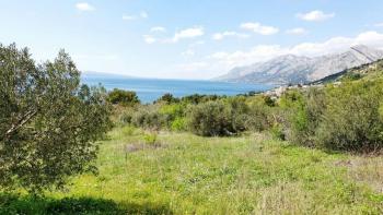 Rare terrain for sale in Brela with sea views, just 240 meters from the sea 