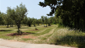 Building land 3000 m2, Vabriga 