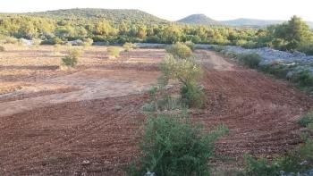 Terrain agricole de plus de 1,5 hectares dans la région de Vodice, grand potentiel 