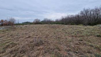 Agro land in Labin are, cca.2 hectares 