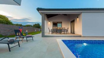 Newly built villa with swimming pool in Loborika 