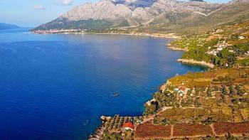 Combination of building and agro land on Peljesac- 1st line to the sea 