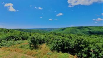 Prostorný pozemek v Kanfanaru, 10.000 m2 