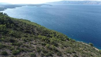 Agrargrundstück zum Verkauf in der Gegend von Jelsa, auf der Insel Hvar – 1. Linie zum Meer 