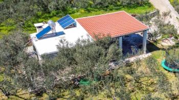 Detached house in Starigrad area on Hvar island with an olive field  