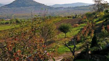 Pozemek 4646 m2. s působivým výhledem - kombinace agro a městského účelu 