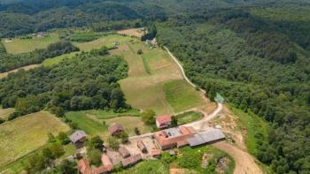 Une grande propriété avec un commerce bien établi ! 40 hectares de terrain à Blatusa ! 