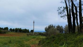 Terrain constructible avec vue sur la mer dans la région de Porec 