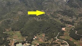 Agricultural land plot for sale 24.000 sqm with a 60 sqm stone object in Jelsa area on Hvar island 