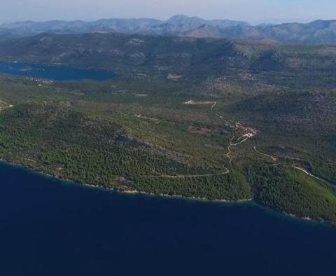 Terrain agricole unique à Peljesac, plus de 21 hectares, 1ère rangée de la mer - pic 8