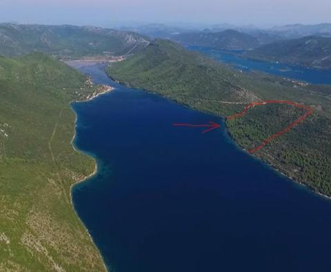 Terrain agricole unique à Peljesac, plus de 21 hectares, 1ère rangée de la mer - pic 9