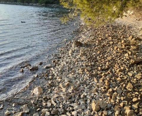 Terrain agricole unique à Peljesac, plus de 21 hectares, 1ère rangée de la mer - pic 4